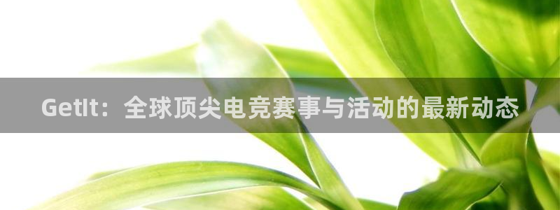 极悦娱乐平台官网入口：GetIt：全球顶尖电竞赛事与活动的最