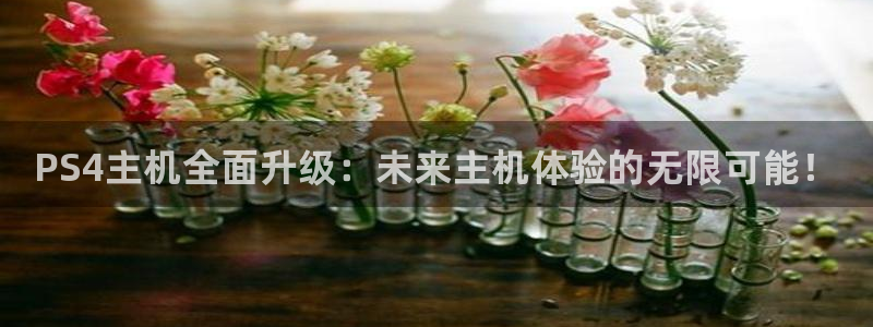 极悦娱乐注册服务条款：PS4主机全面升级：未来主机体验的无限