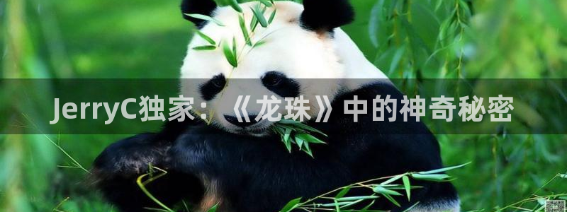 极悦娱乐网址官网：JerryC独家：《龙珠》中的神奇秘密