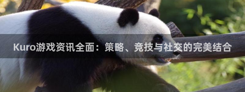极悦娱乐主管：Kuro游戏资讯全面：策略、竞技与社交的完美结