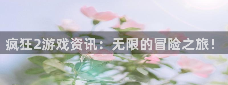 极悦娱乐登录地址：疯狂2游戏资讯：无限的冒险之旅！