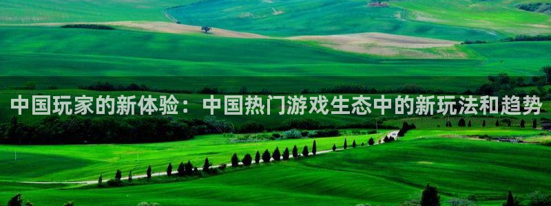 极悦娱乐开户测速：中国玩家的新体验：中国热门游戏生态中的新玩