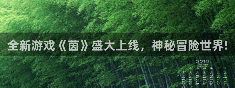 极悦娱乐官网登录：全新游戏《茵》盛大上线，神秘冒险世界!