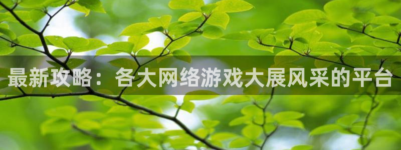 极悦娱乐下载：最新攻略：各大网络游戏大展风采的平台